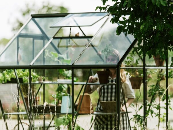 Drivhus Royal Well | Spire 6,0m²  | Olivengrå