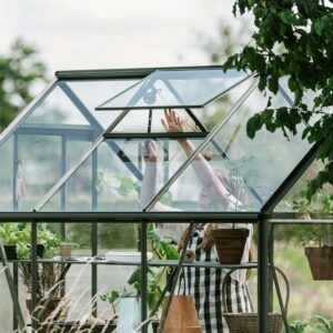 Drivhus Royal Well Spire 7,2m² Olivengrå