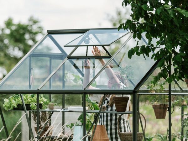 Drivhus Royal Well | Spire 7,2m²  | Olivengrå