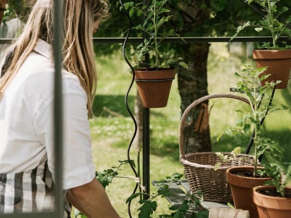 Plantespiral | 4 stk | Sort