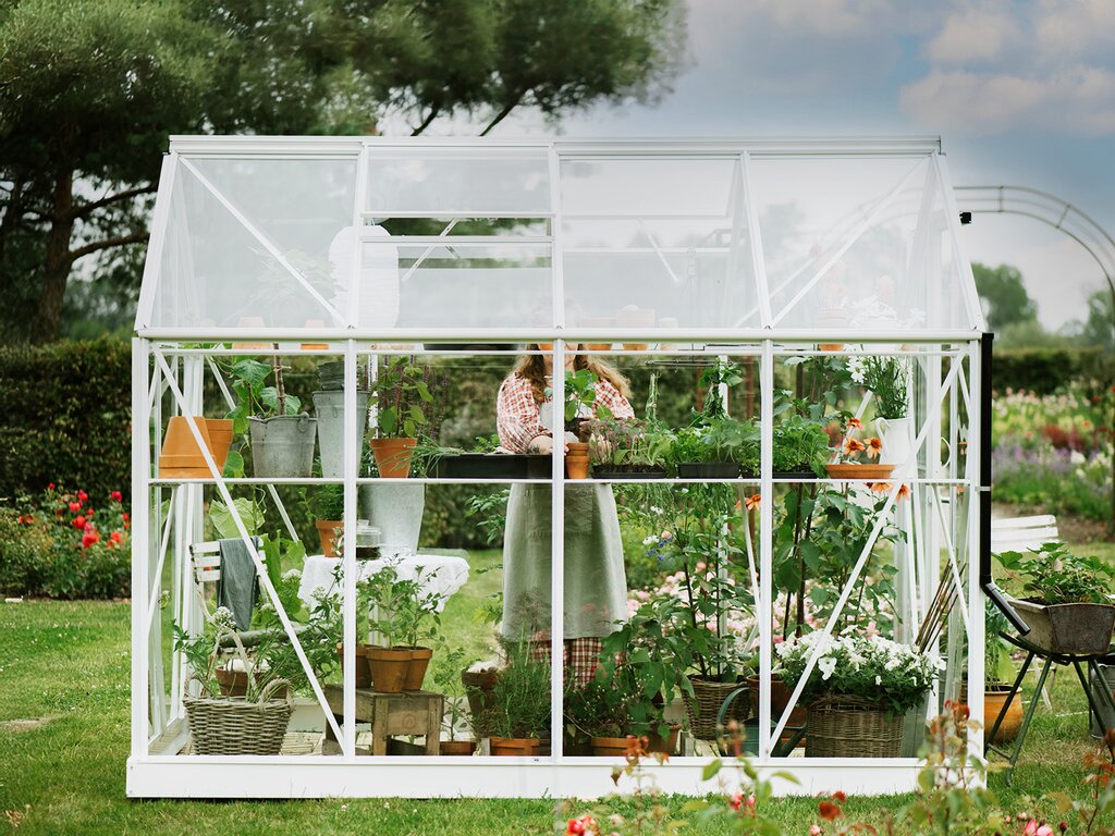 Drivhus Royal Well | Solstuen 7,5m² | Hvit - Bilde 12