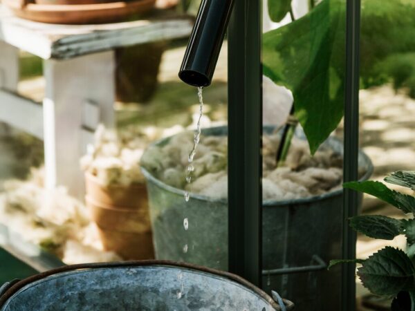 Drivhus Royal Well | Solstuen 4,5m² | Sort