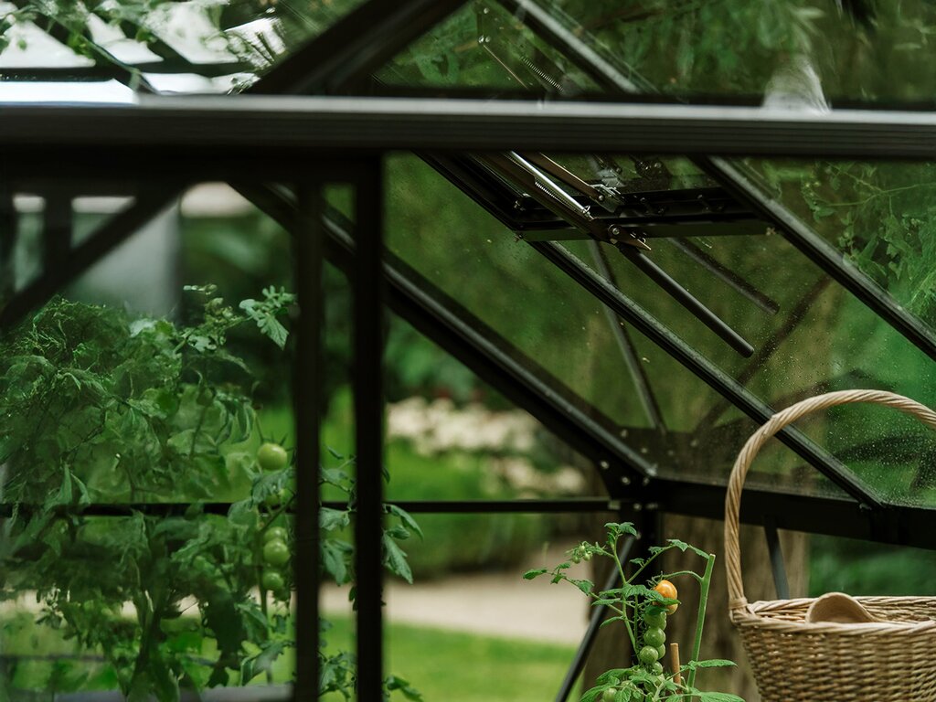 Drivhus Royal well | Spire 7,2m² | Sort - Bilde 11