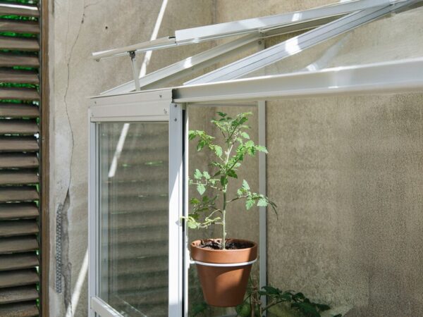 Drivhus Royal Well | Spirehuset 0,91m² | Hvit