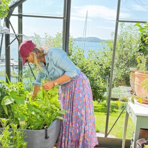 Large_dame i drivhus Drivhus Royal Well Solstuen 7,5m² Olivengrå