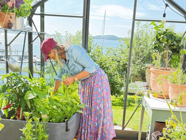 Large_dame i drivhus Drivhus Royal Well | Solstuen 7,5m² | Olivengrå