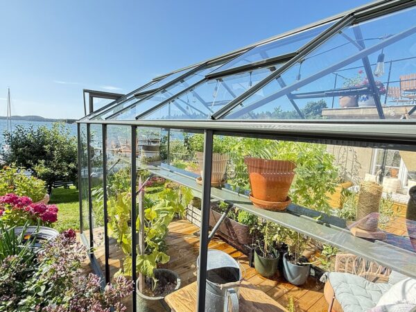 Large_farge grønn drivhus 4_3 Drivhus Royal Well | Solstuen 7,5m² | Olivengrå