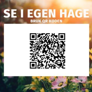Large_qr kode Anneks | Holmen 2 | 20,1m²