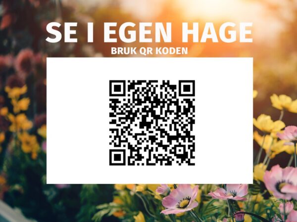 Anneks | Holmen 2 | 20,1m²