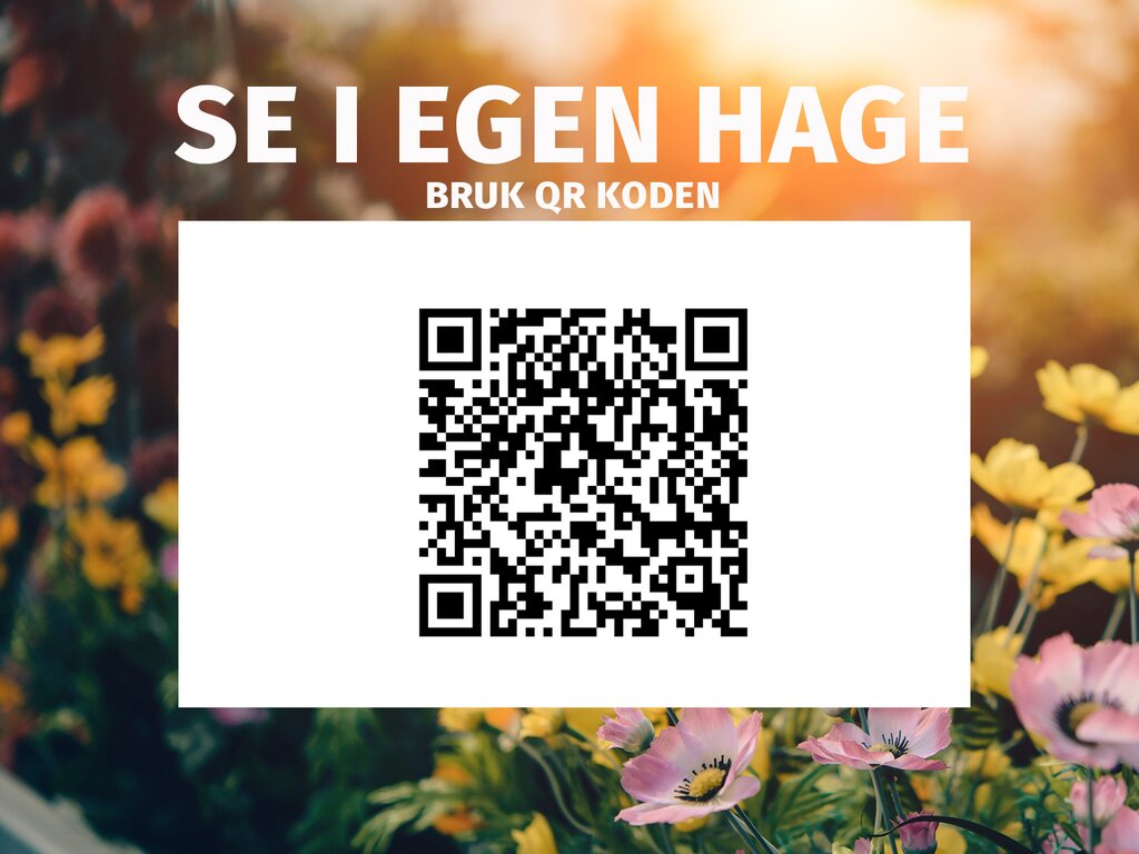 Anneks | Holmen 2 | 20,1m² - Bilde 3