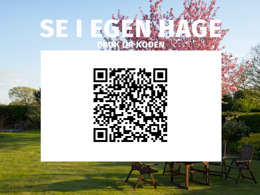 Anneks | Hille 3 | 22,4m² - Bilde 5