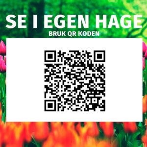 Large_qr kode sort 3×6 Pergola | Sørøya | 3x6m sort
