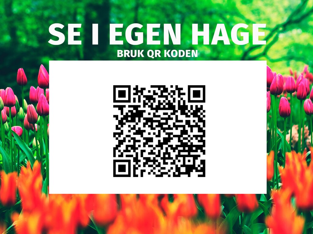 Pergola | Sørøya | 4x4m sort - Bilde 3