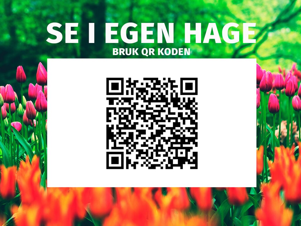 Pergola | Sørøya | 4x6m sort - Bilde 3