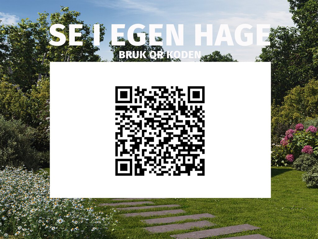 Pergola | Sørøya | 3x3m | sort - Bilde 7