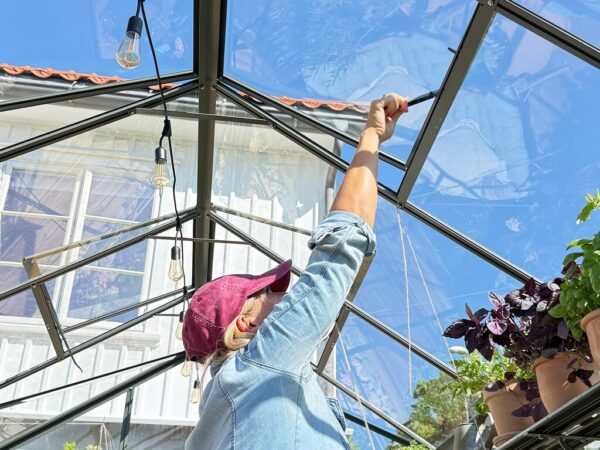 Drivhus Royal well | Solstuen 4,5m² | Olivengrå