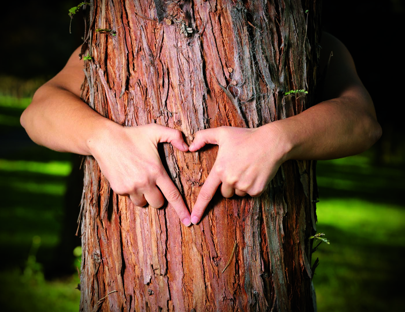 Bygget med god samvittighet