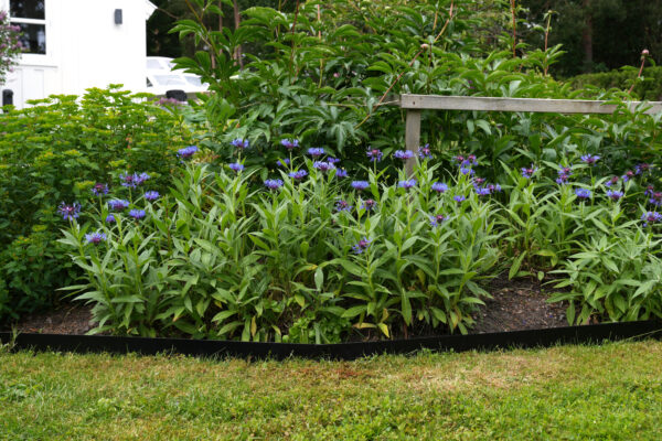 Hagekant Sort 106x16/8 cm  | 5-pakk