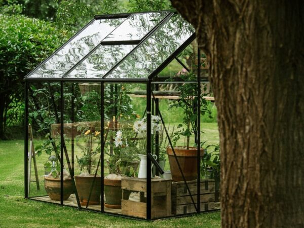 Large_Royal-Well-spire-sort_2 Drivhus Royal Well | Spire 6,0m² | Sort