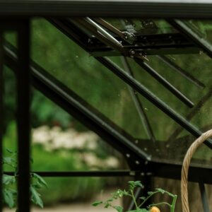 Drivhus Royal Well Spire 6,0m² Sort