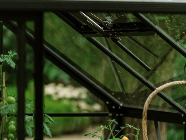 Large_Royal-Well-spire-sort_vindu_2 Drivhus Royal Well | Spire 6,0m² | Sort