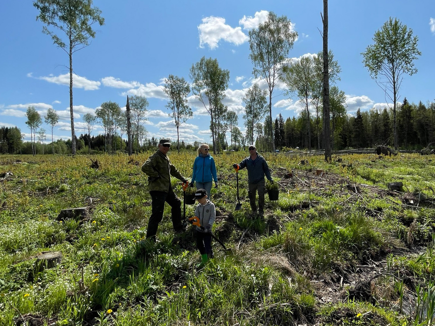 Planter trær for miljøet