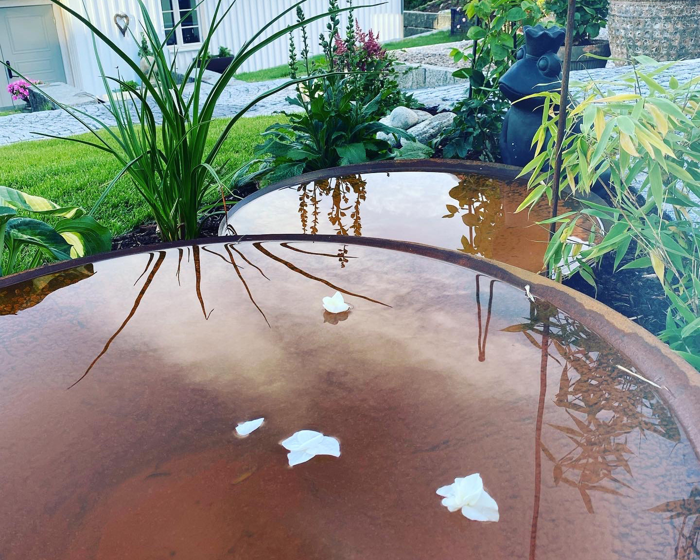 Stemning i hagen med vannspeil