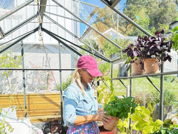 Drivhus Royal well | Solstuen 4,5m² | Olivengrå