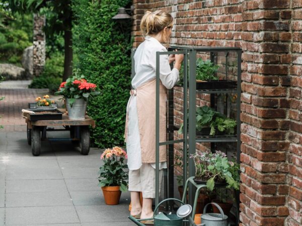 Drivhus Royal well | Urban | Olivengrå