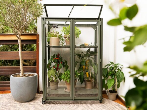 Drivhus Royal well | Urban | Olivengrå