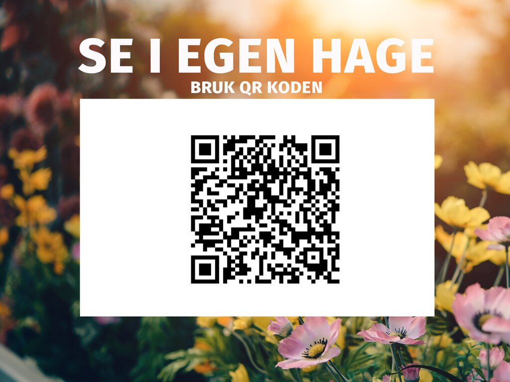 Anneks | Holmen 1 | 14,35m² - Bilde 7