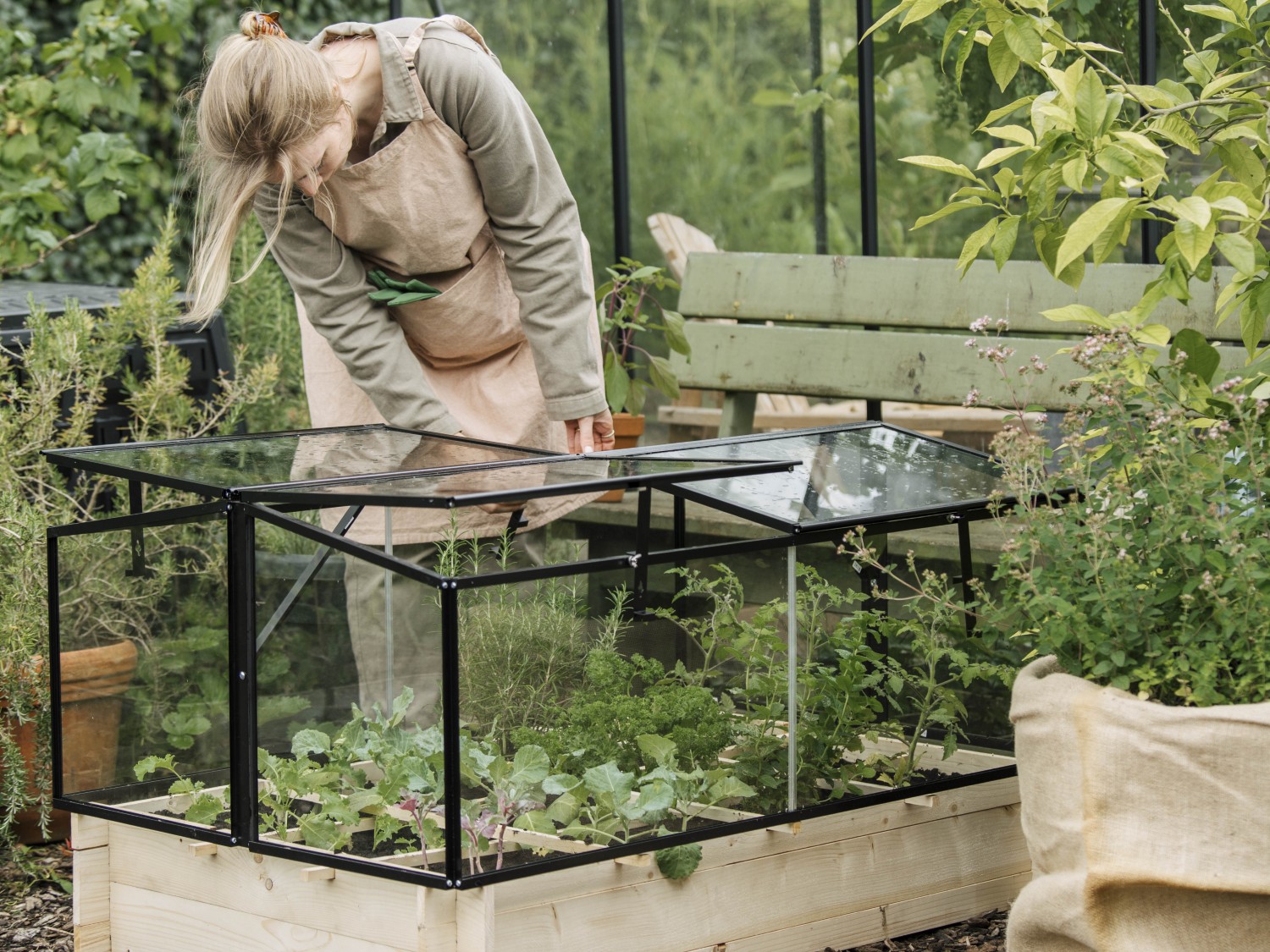 Dame som dyrker i minidrivhus til pallekarm