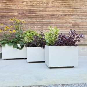 Plantekasse Kalk 60 x 40 cm