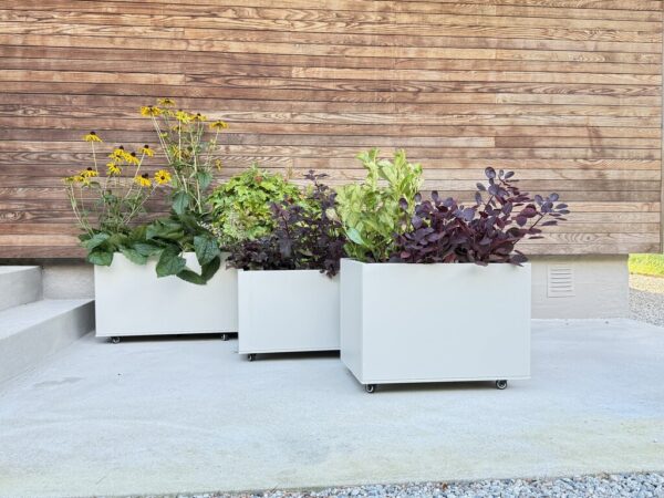 Large_7021913 + 7021914 + 7021912 4_3 Plantekasse | Kalk | 60 x 40 cm