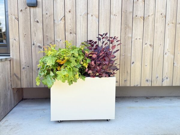 Large_7021913 plantekasse Plantekasse | Kalk | 60 x 40 cm