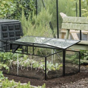 Drivhus til pallekarm Royal Well Sort