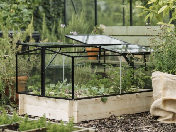 Drivhus til pallekarm Royal Well | Sort