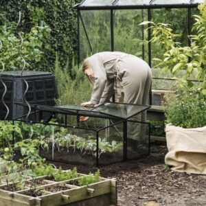 Drivhus til pallekarm Royal Well Sort