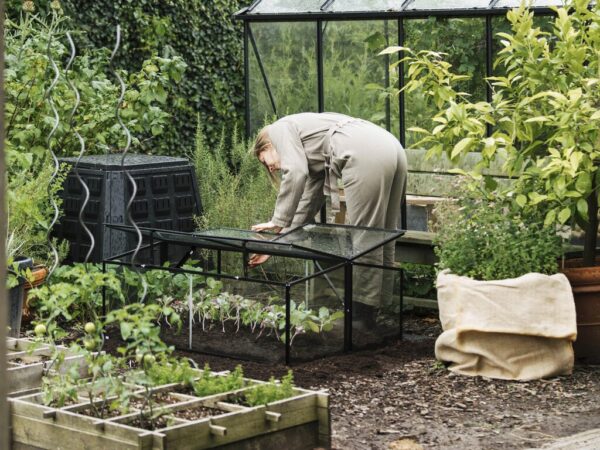 Drivhus til pallekarm Royal Well | Sort