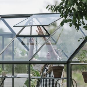 Large_Royal-Well-drivhus-olivengrå-vindu Drivhus Royal Well Solstuen 6,1m² Olivengrå