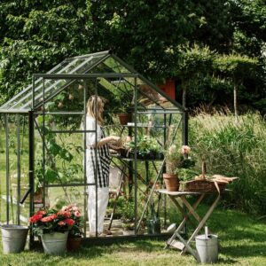 Large_Royal-Well-solstue-grønn_1 Drivhus Royal Well Solstuen 6,1m² Olivengrå