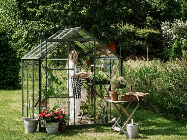 Drivhus Royal Well | Solstuen 6,1m² | Olivengrå