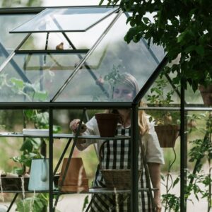 Large_Royal-Well-solstue-grønn_vindu Drivhus Royal well Solstuen 4,5m² Olivengrå