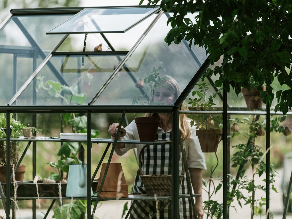 Drivhus Royal well | Solstuen 4,5m² | Olivengrå - Bilde 3