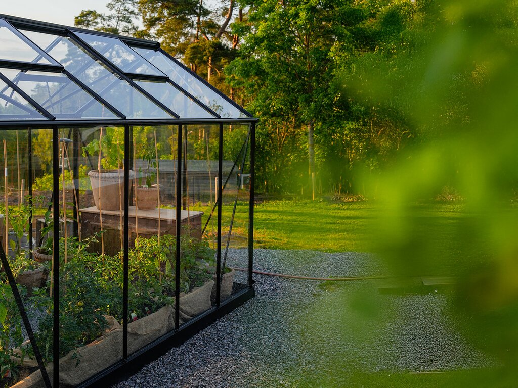 Drivhus Royal Well | Solstuen 9m² | Sort - Bilde 1