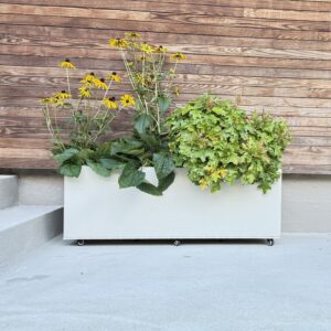 Plantekasse Kalk 120 x 40 cm