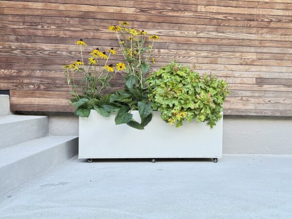 Large_Stor blomsterkasse Plantekasse | Kalk | 120 x 40 cm