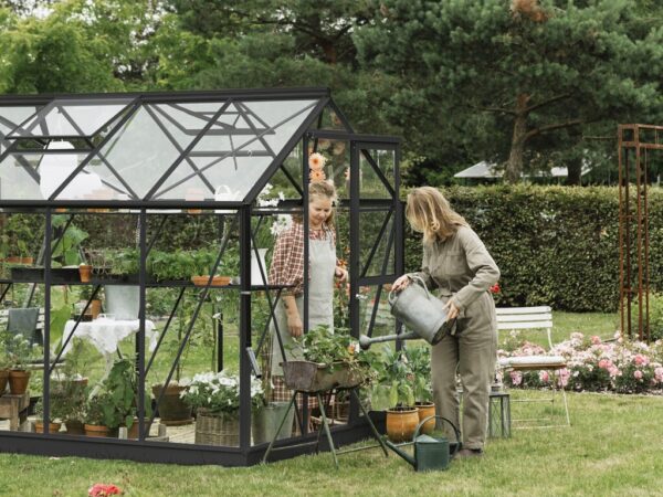 Drivhus Royal Well | Solstuen 4,5m² | Sort