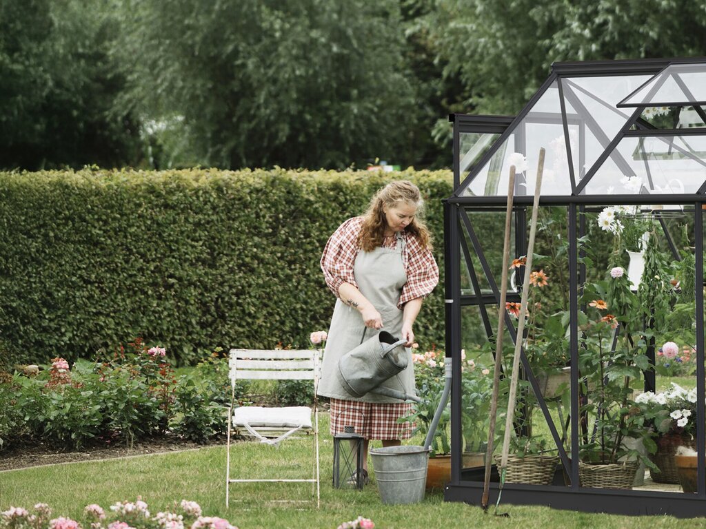 Drivhus Royal Well | Solstuen 6,1m² | Sort - Bilde 4