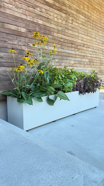 Large_stor kasse fra siden 9_16 Plantekasse | Kalk | 120 x 40 cm